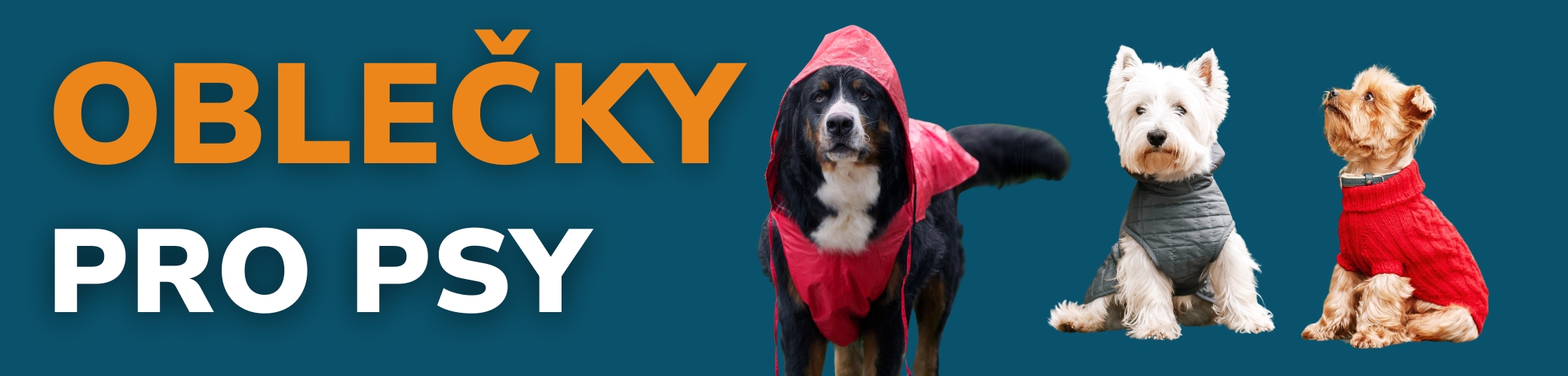 OBLECKY PRO PSY 2